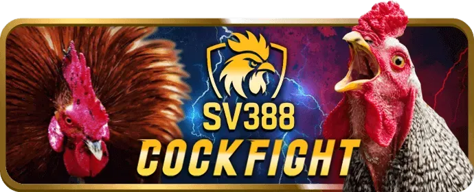 Máy đánh bạc và trò chơi bắn cá M788 Casino